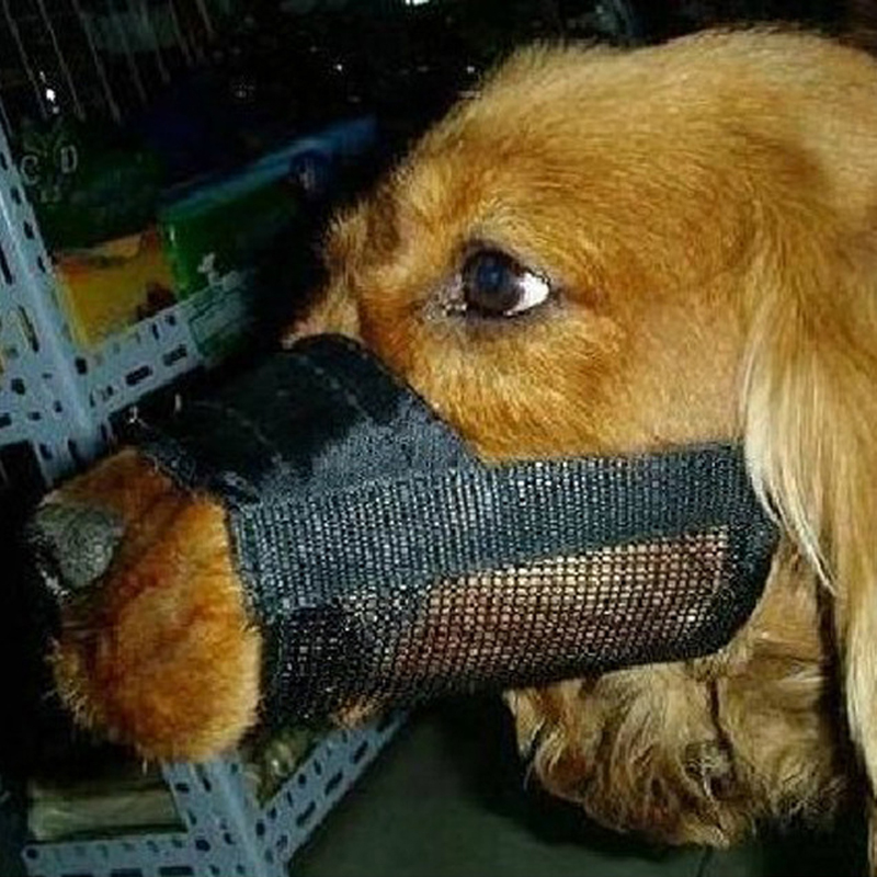 Adjustable Dog Muzzle for Barking Adjustable Dog Muzzle for Barking