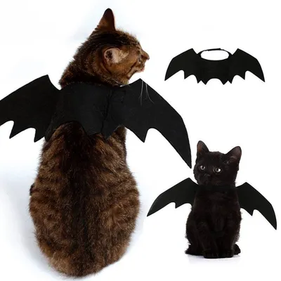 Adjustable Felt Bat Wings Cat Costume
