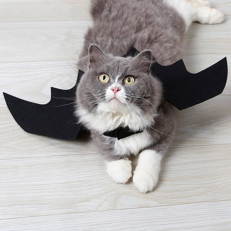 Adjustable Felt Bat Wings Cat Costume