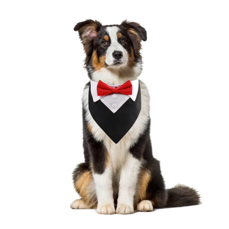 Adjustable Formal Dog Wedding Bow Tie