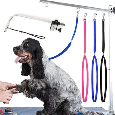 Adjustable Grooming Leash for Pets Adjustable Grooming Leash for Pets