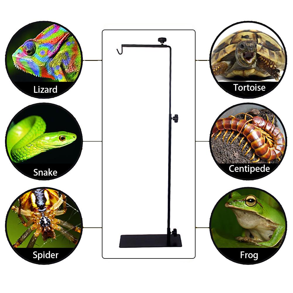 Adjustable Iron Reptile Light Stand Adjustable Iron Reptile Light Stand