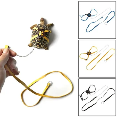 Adjustable Leash for Turtle with Harness