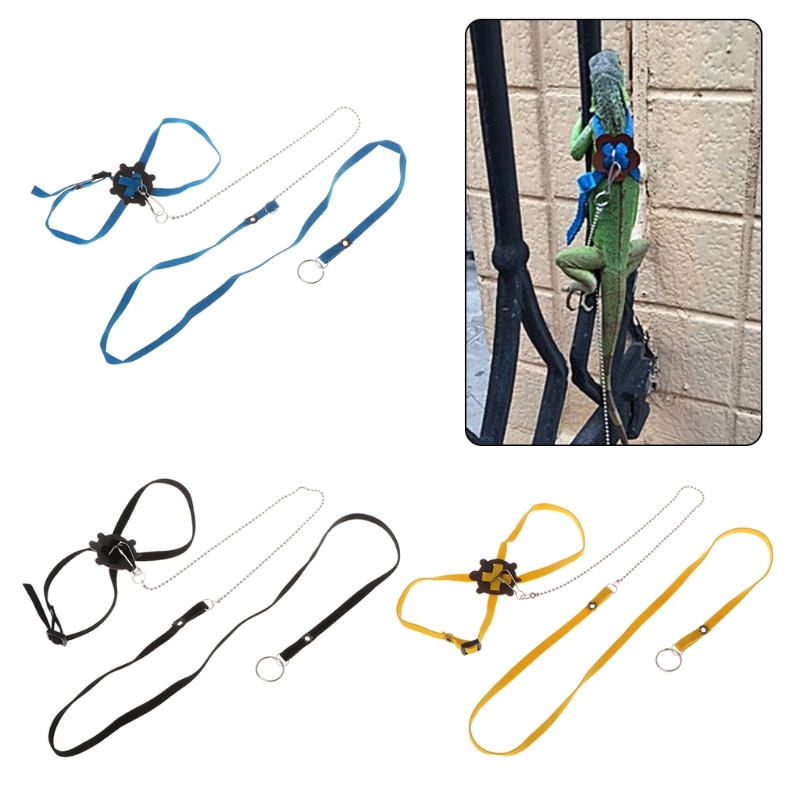 Adjustable Leash for Turtle with Harness