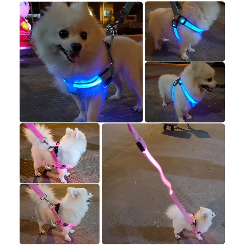 Adjustable LED Dog Harness No Pull Small Medium Glowing Nylon Breast-Band Night Safety Arnes Perro Pets Dog Accessories Adjustable LED Dog Harness No Pull Small Medium Glowing Nylon Breast-Band Night Safety Arnes Perro Pets Dog Accessories