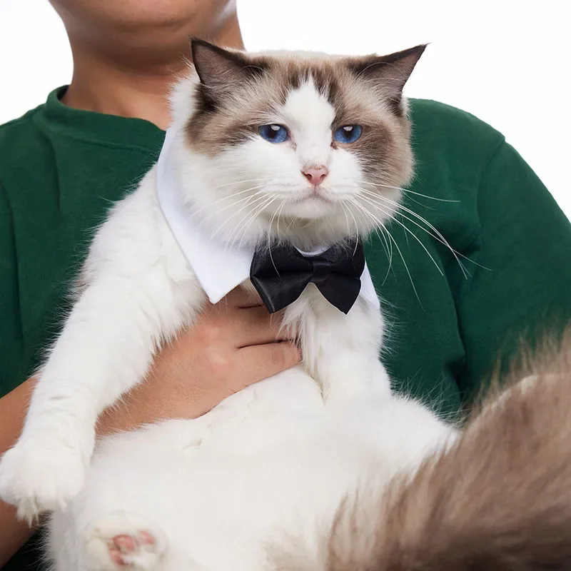 Adjustable Pets Dog Cat Bow Tie Pet Costume Necktie Collar for Small Dogs Puppy Grooming Accessories Adjustable Pets Dog Cat Bow Tie Pet Costume Necktie Collar for Small Dogs Puppy Grooming Accessories