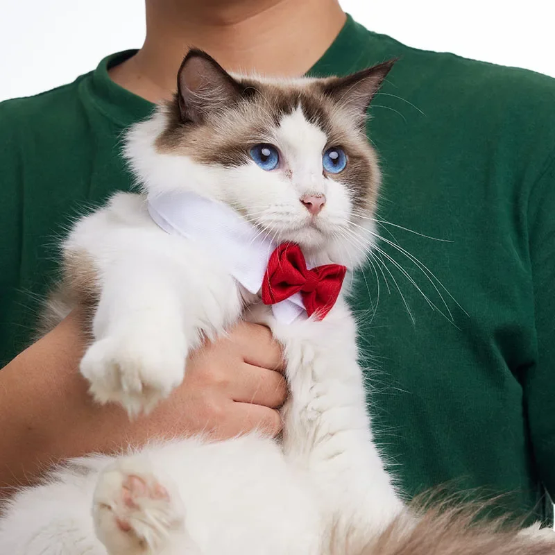 Adjustable Pets Dog Cat Bow Tie Pet Costume Necktie Collar for Small Dogs Puppy Grooming Accessories Adjustable Pets Dog Cat Bow Tie Pet Costume Necktie Collar for Small Dogs Puppy Grooming Accessories