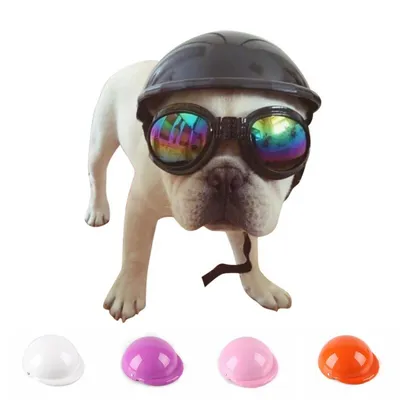 Adjustable Plastic Dog Safety Helmet