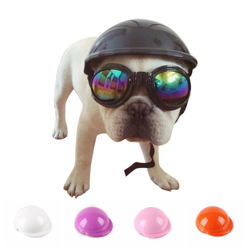 Adjustable Plastic Dog Safety Helmet Adjustable Plastic Dog Safety Helmet