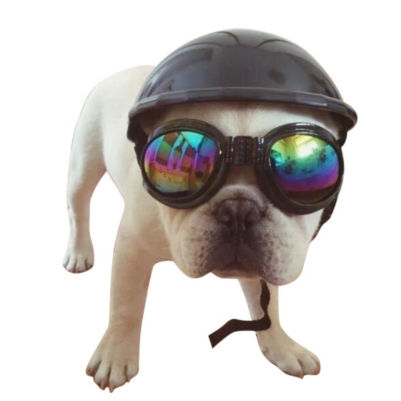 Adjustable Plastic Dog Safety Helmet