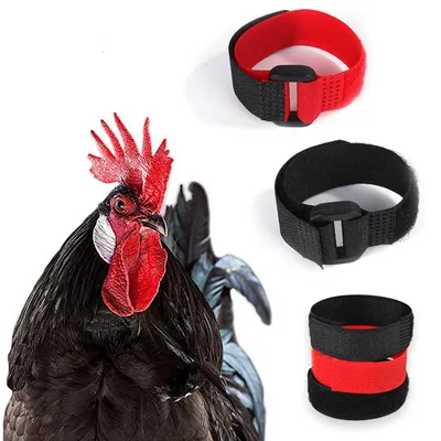 Adjustable Rooster Crow Collars (2pcs) Adjustable Rooster Crow Collars (2pcs)