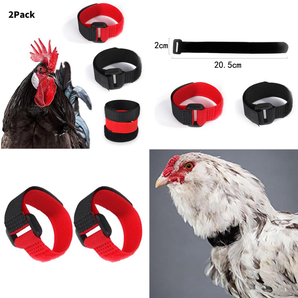 Adjustable Rooster Crow Collars (2pcs) Adjustable Rooster Crow Collars (2pcs)