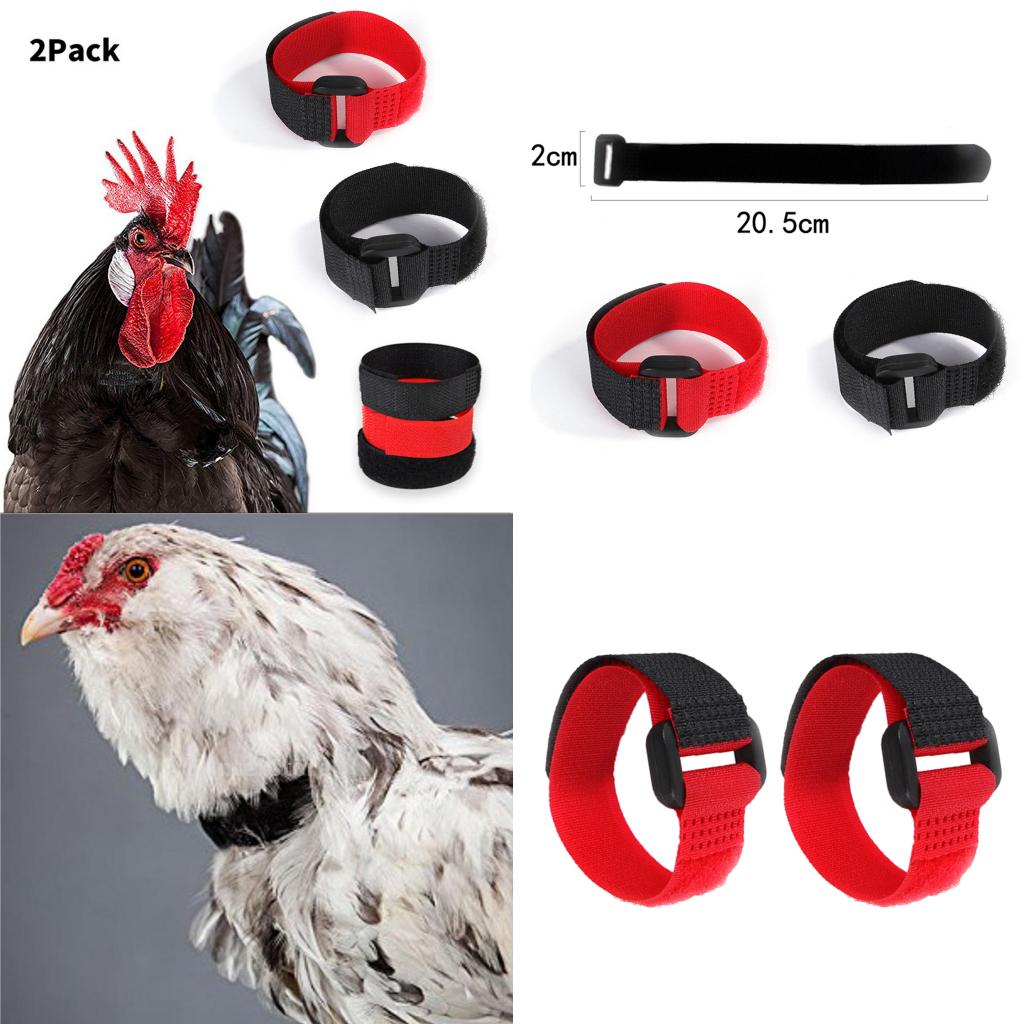 Adjustable Rooster Crow Collars (2pcs) Adjustable Rooster Crow Collars (2pcs)