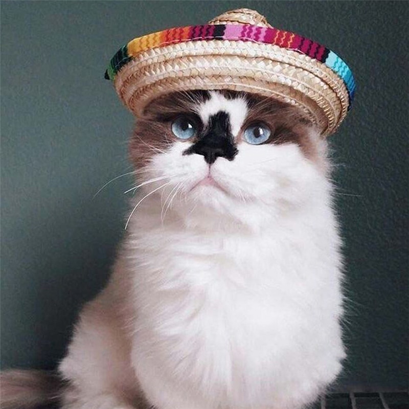 Adjustable Straw Hat Cat Sombrero Adjustable Straw Hat Cat Sombrero