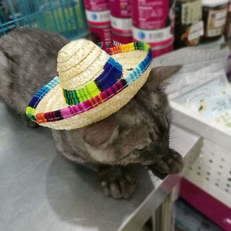 Adjustable Straw Hat Cat Sombrero Adjustable Straw Hat Cat Sombrero