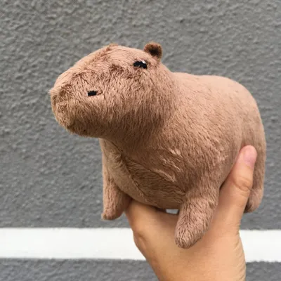 Adorable Capybara Plushy Toy
