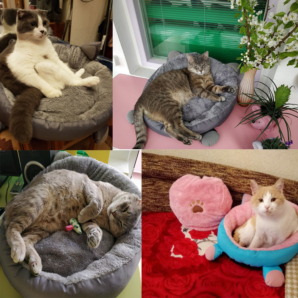 Adorable Cat Shaped Cat Bed Adorable Cat Shaped Cat Bed