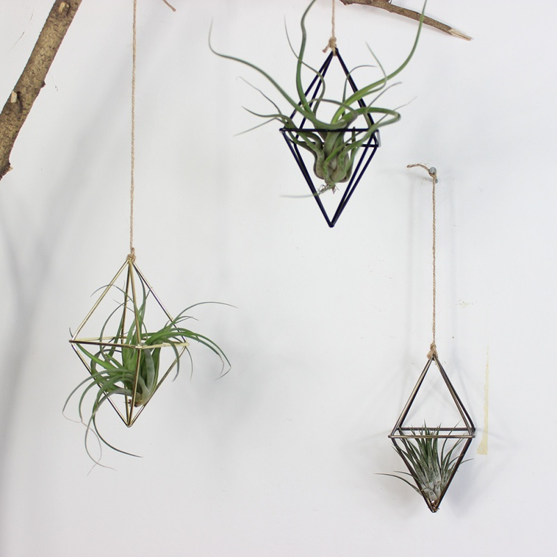 Air Plant Hanger Geometric Holder Air Plant Hanger Geometric Holder