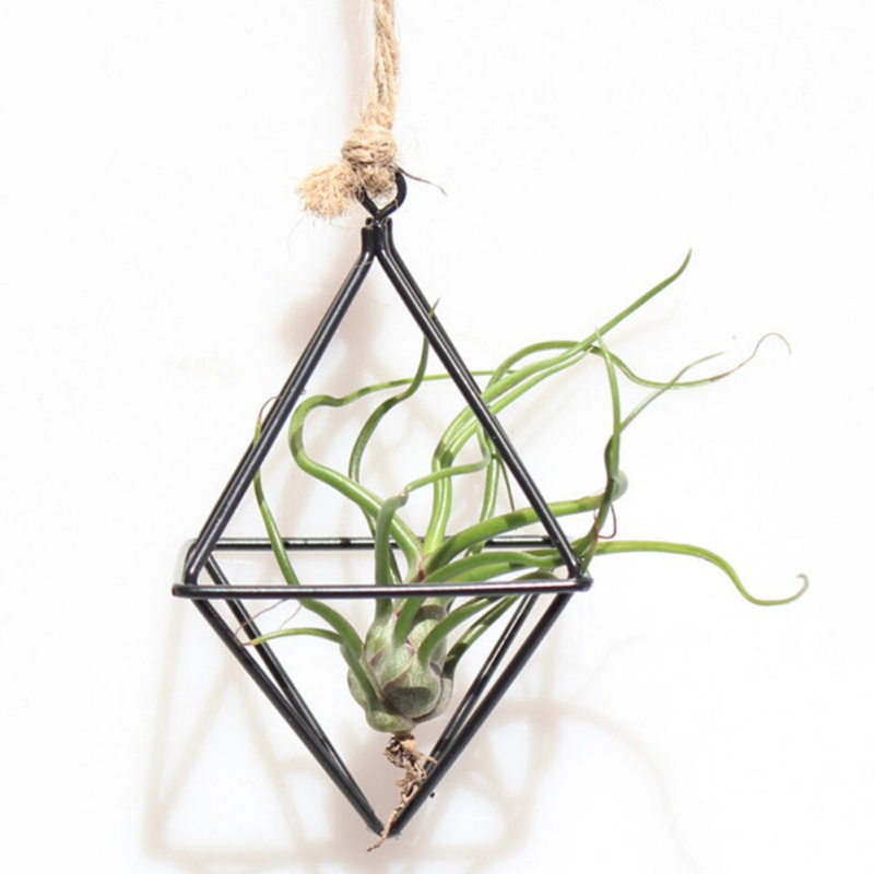 Air Plant Hanger Geometric Holder Air Plant Hanger Geometric Holder
