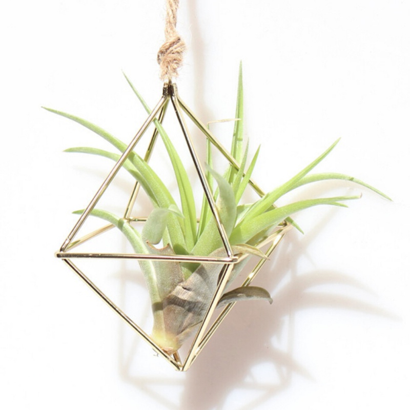 Air Plant Hanger Geometric Holder Air Plant Hanger Geometric Holder