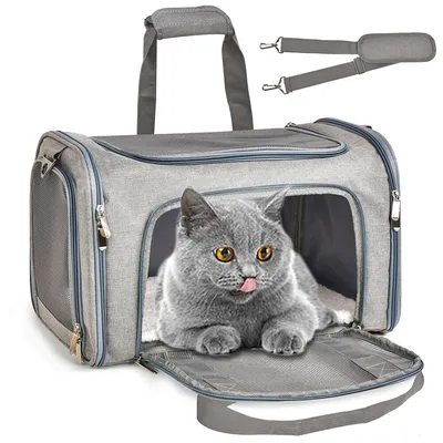 Airline Approved Dog Bag Carrier Airline Approved Dog Bag Carrier
