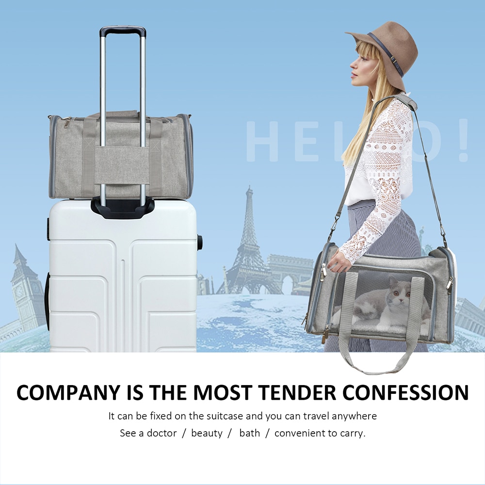 Airline Approved Dog Bag Carrier Airline Approved Dog Bag Carrier
