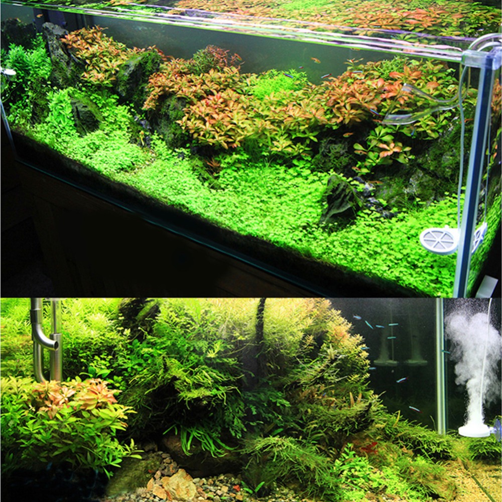 Algae Remover Device Fish Tank Cleaner Algae Remover Device Fish Tank Cleaner
