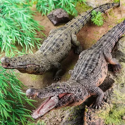 Amphibian Crocodile Model Simulation Mobile Clay Education and interesting games, boys and girls collect ornaments.