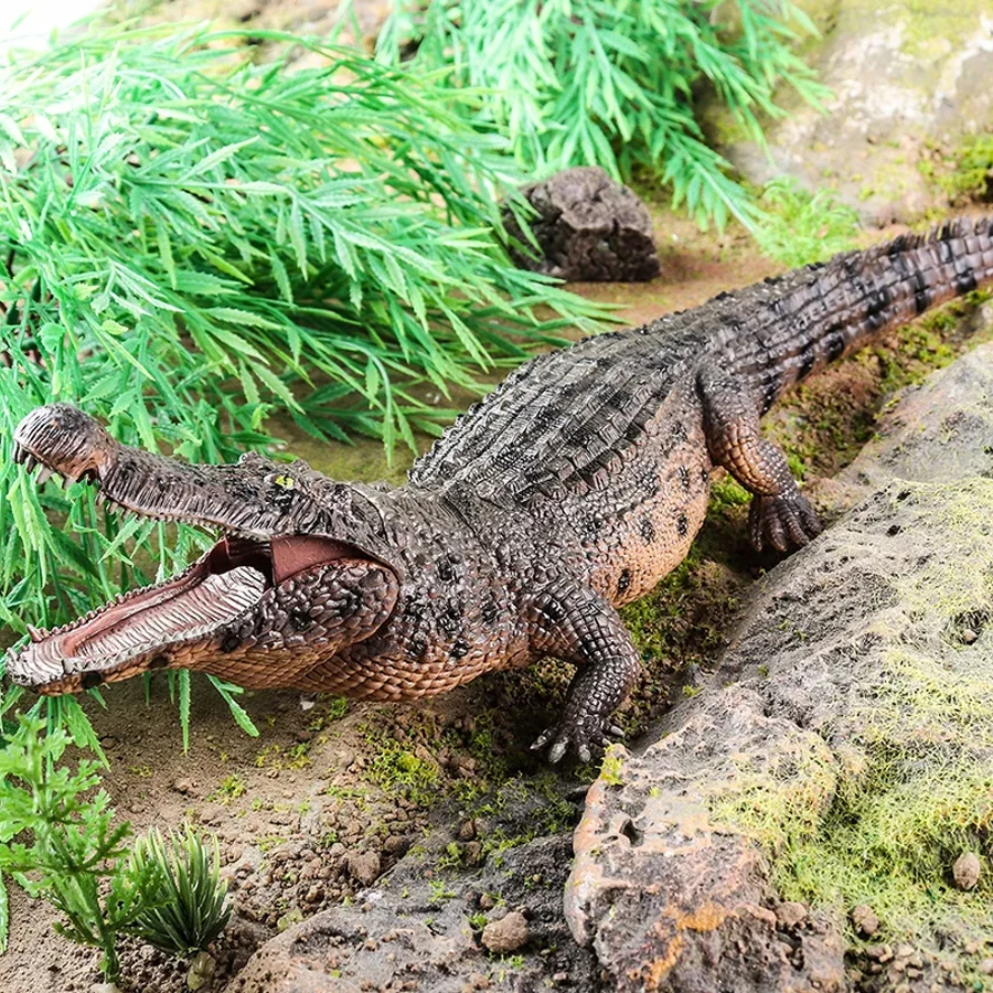 Amphibian Crocodile Model Simulation Mobile Clay Education and interesting games, boys and girls collect ornaments.