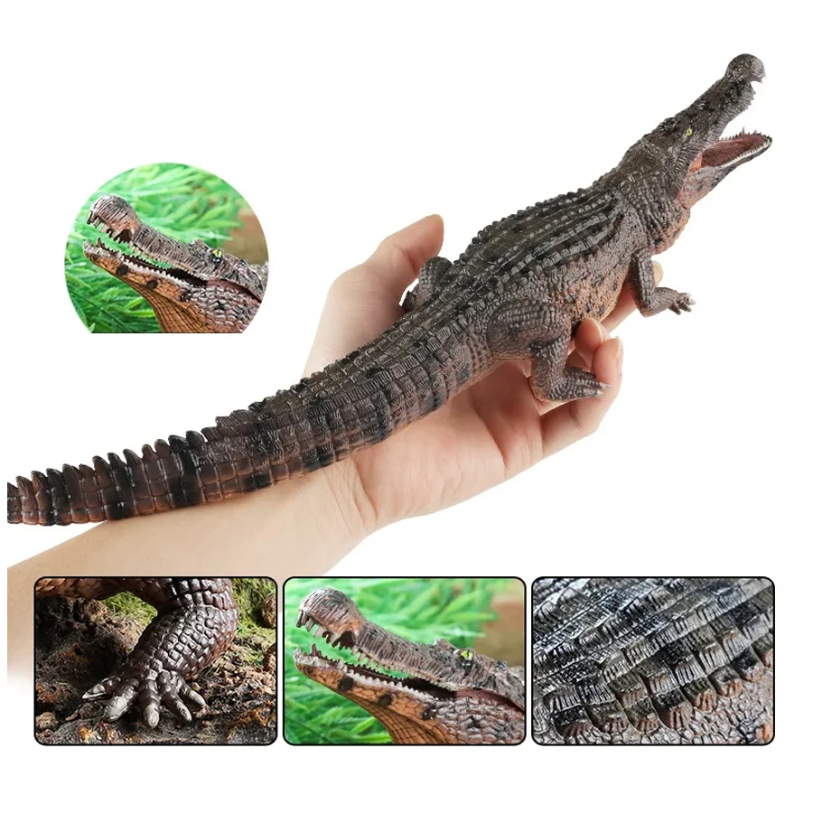 Amphibian Crocodile Model Simulation Mobile Clay Education and interesting games, boys and girls collect ornaments.