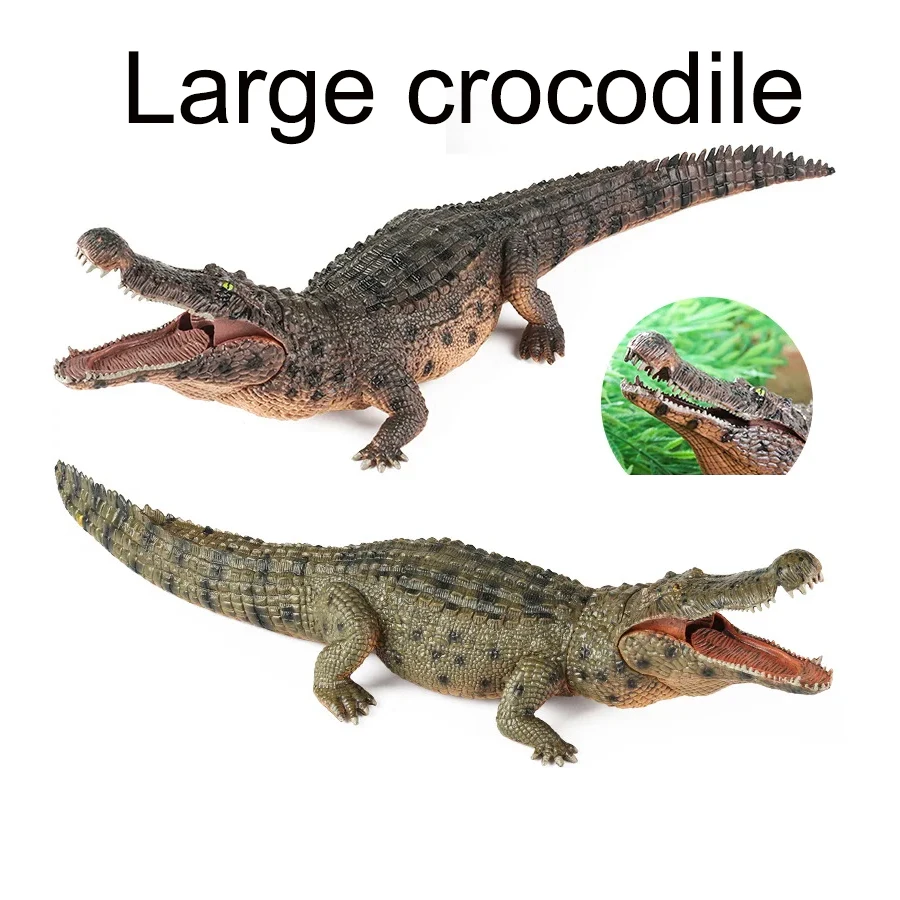 Amphibian Crocodile Model Simulation Mobile Clay Education and interesting games, boys and girls collect ornaments.