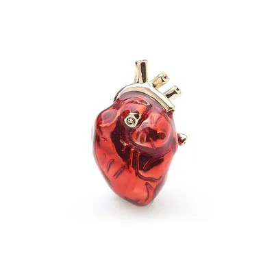 Anatomical Human Heart Brooch