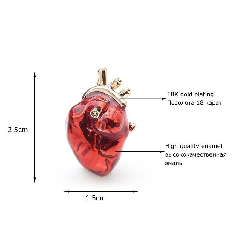 Anatomical Human Heart Brooch