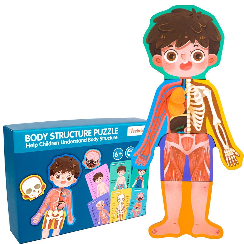 Anatomy Puzzle Educational Puzzle Anatomy Puzzle Educational Puzzle