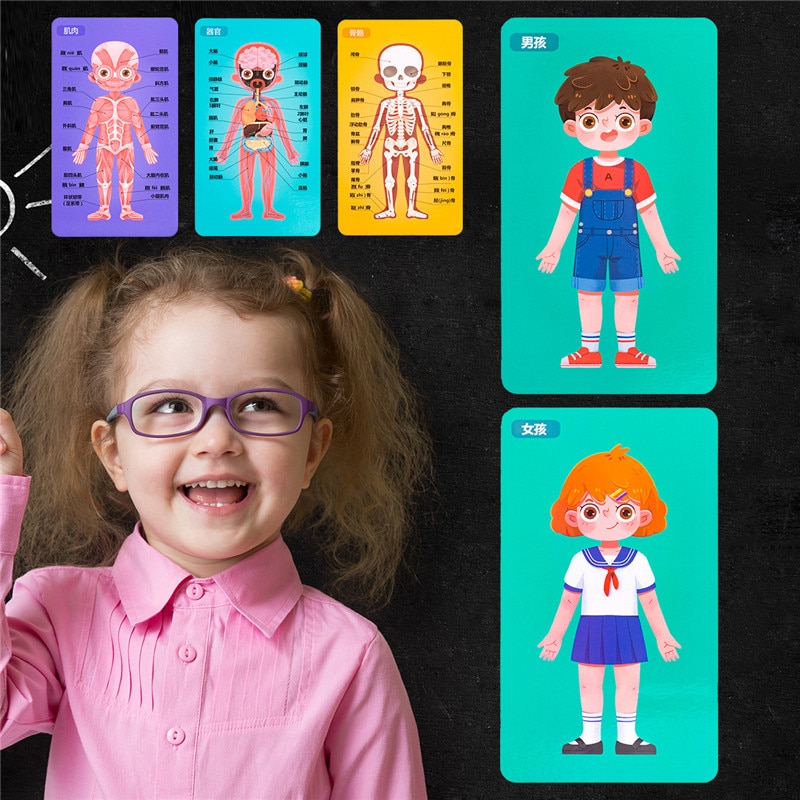 Anatomy Puzzle Educational Puzzle Anatomy Puzzle Educational Puzzle