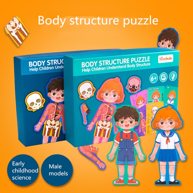 Anatomy Puzzle Educational Puzzle Anatomy Puzzle Educational Puzzle
