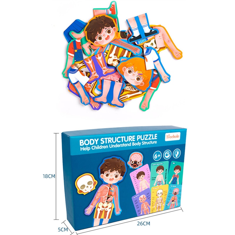 Anatomy Puzzle Educational Puzzle Anatomy Puzzle Educational Puzzle
