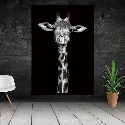 Animal Canvas Wall Art Animal Canvas Wall Art