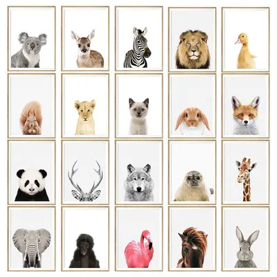 Animal Paintings Cotton Canvas Animal Paintings Cotton Canvas