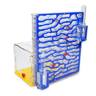 Ant Farm Kit Ants Formicarium Ant Farm Kit Ants Formicarium