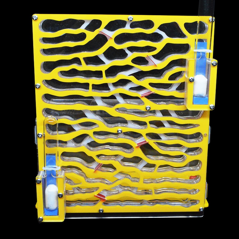 Ant Farm Kit Ants Formicarium Ant Farm Kit Ants Formicarium
