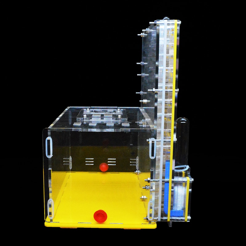 Ant Farm Kit Ants Formicarium Ant Farm Kit Ants Formicarium