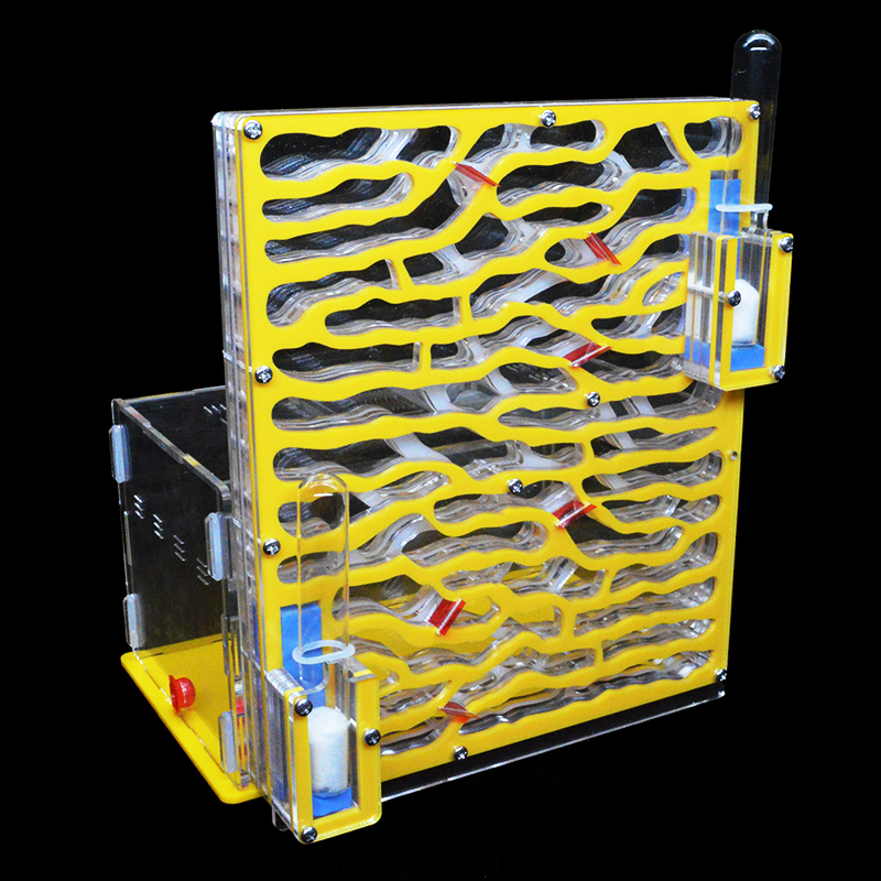 Ant Farm Kit Ants Formicarium Ant Farm Kit Ants Formicarium