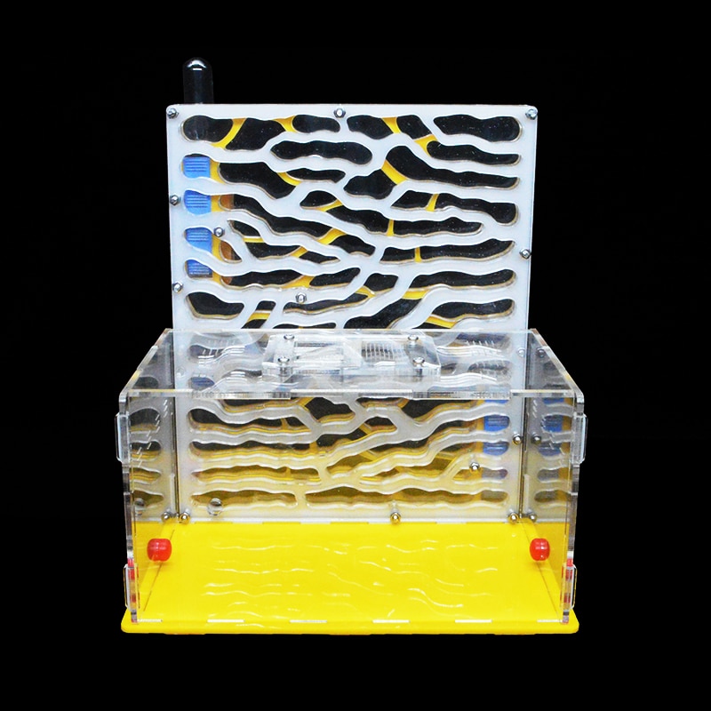 Ant Farm Kit Ants Formicarium Ant Farm Kit Ants Formicarium