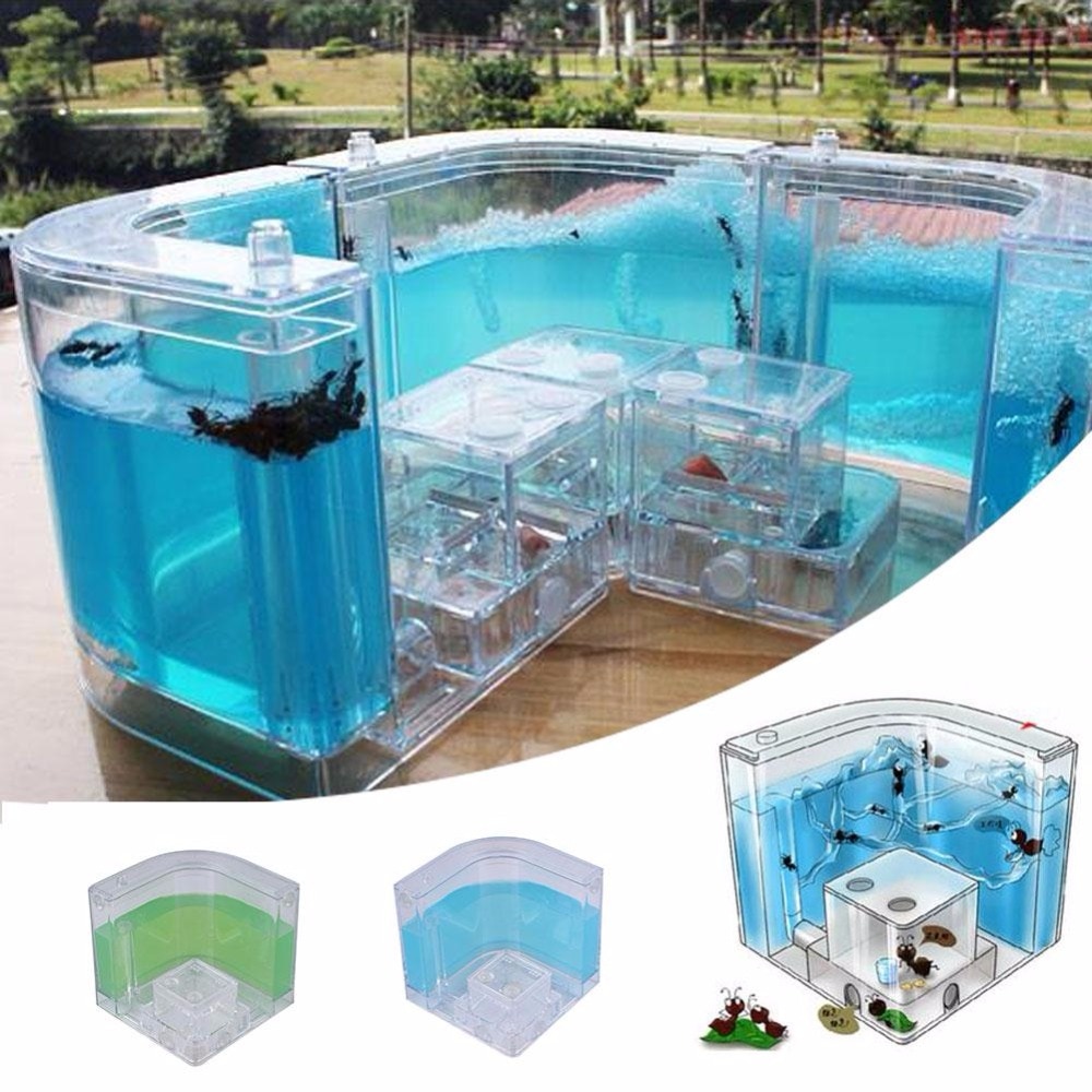 Ant Farms Gel Cage Box Kit Ant Farms Gel Cage Box Kit