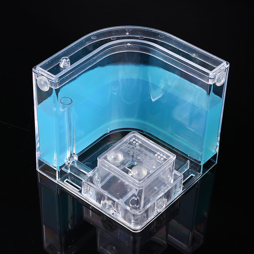 Ant Farms Gel Cage Box Kit Ant Farms Gel Cage Box Kit