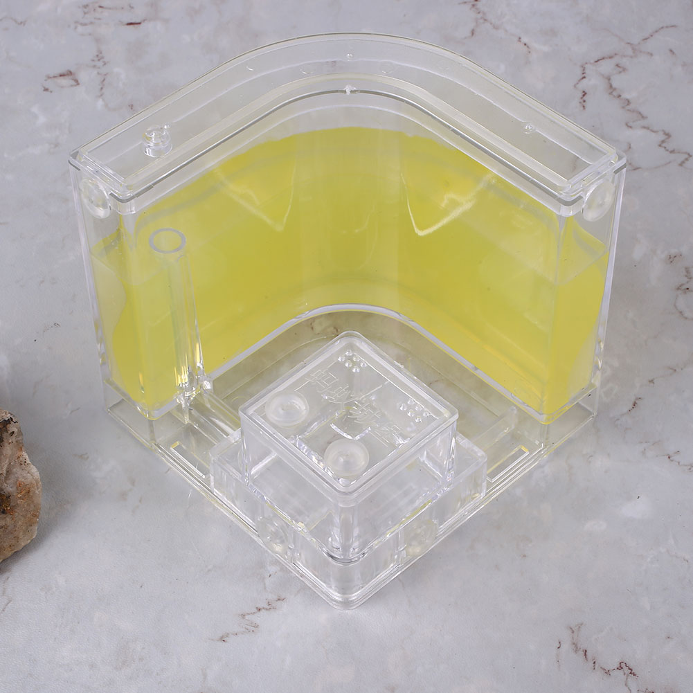 Ant Farms Gel Cage Box Kit Ant Farms Gel Cage Box Kit