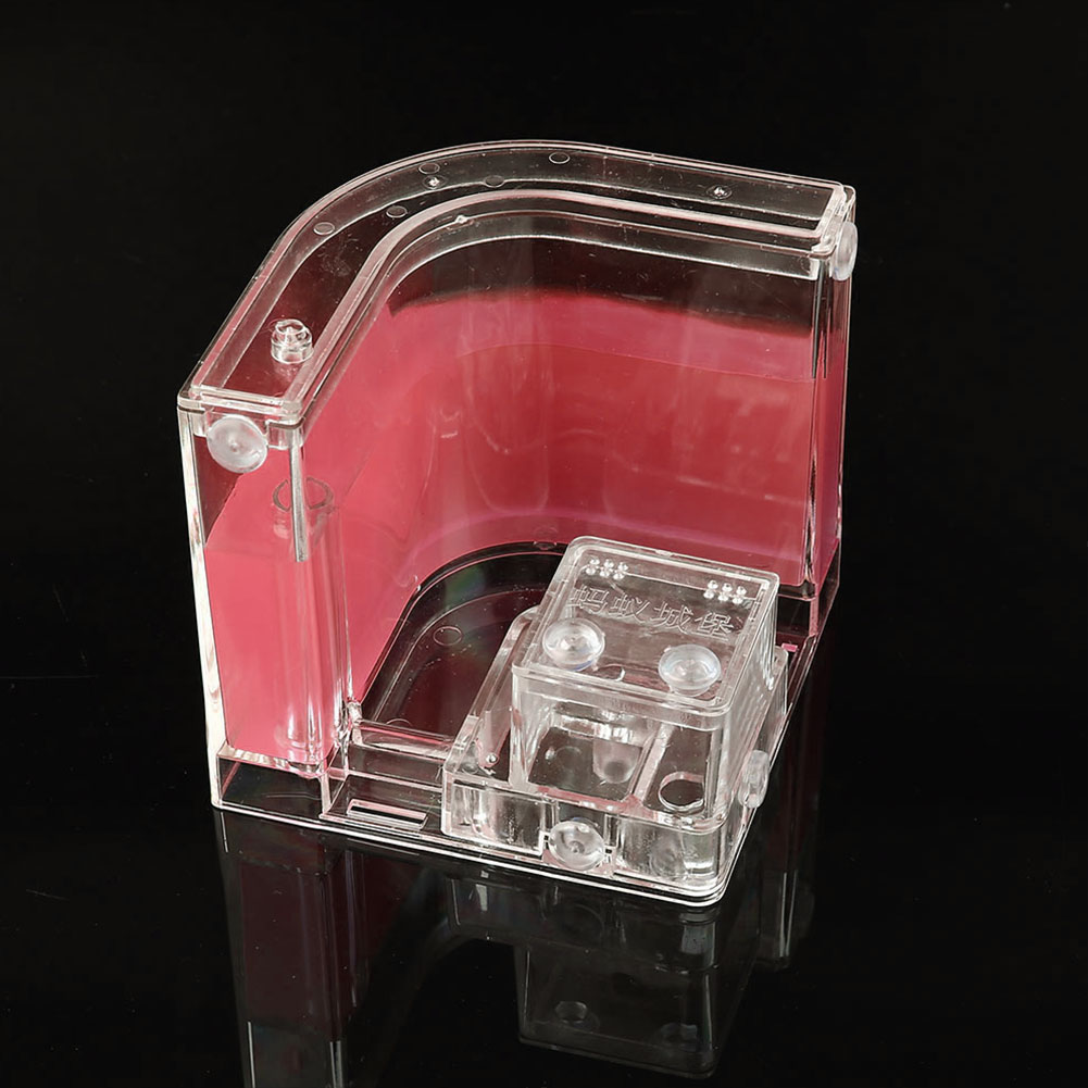 Ant Farms Gel Cage Box Kit Ant Farms Gel Cage Box Kit