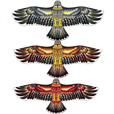 Anti Bird Flying Hawk Kite Bird Repeller Large Eagle Kites Scarecrow Decoy for Farm Garden Pest Bird Repellent Anti Bird Flying Hawk Kite Bird Repeller Large Eagle Kites Scarecrow Decoy for Farm Garden Pest Bird Repellent
