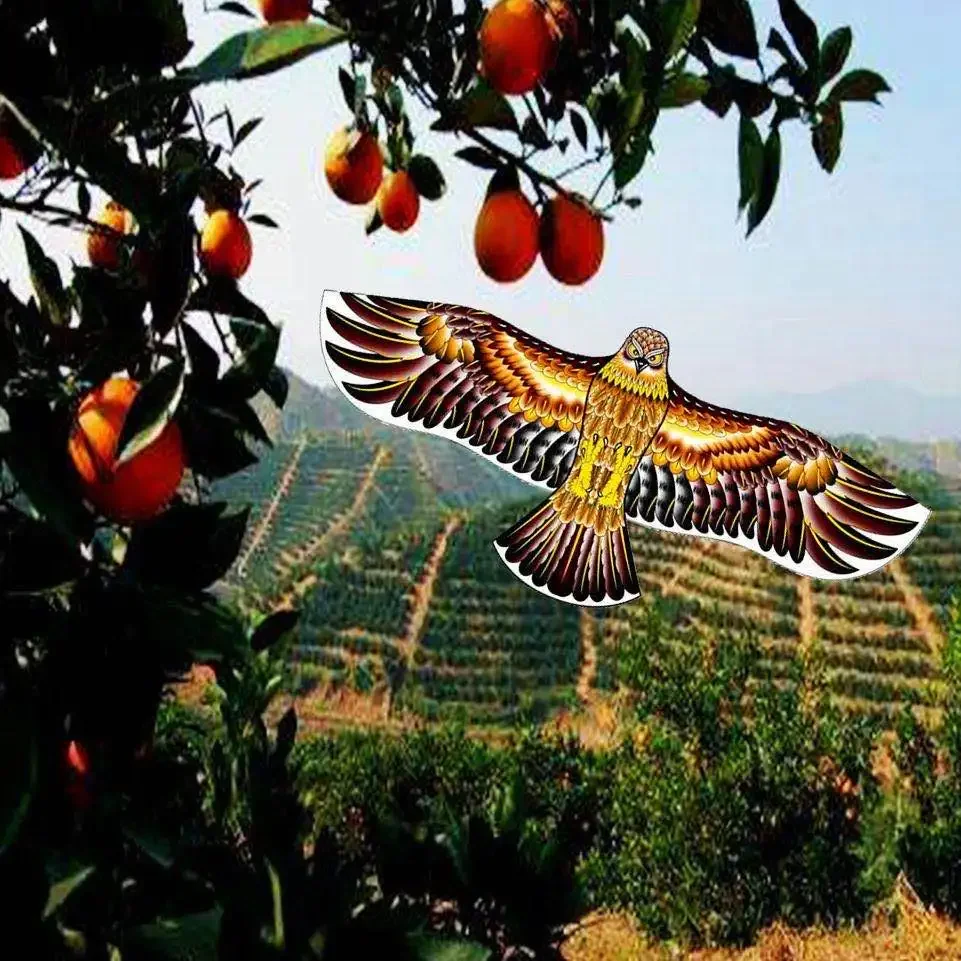 Anti Bird Flying Hawk Kite Bird Repeller Large Eagle Kites Scarecrow Decoy for Farm Garden Pest Bird Repellent Anti Bird Flying Hawk Kite Bird Repeller Large Eagle Kites Scarecrow Decoy for Farm Garden Pest Bird Repellent